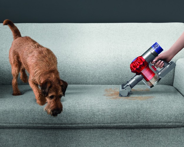 Dyson V6 Top Dogと犬