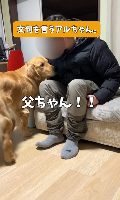アルトくんのお散歩催促6