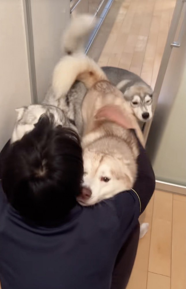 お姉ちゃん達を押しのけたいららちゃん