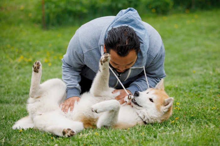 甘える犬と飼い主