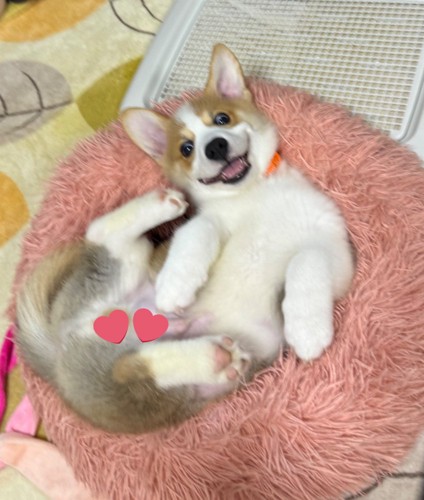 無邪気な