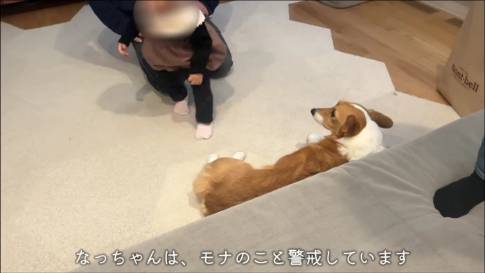 なかなか仲良くなれない…