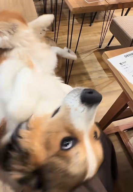 「一緒に座ってもいい?」
