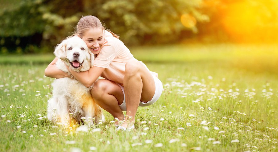 座っている犬を抱きしめる女性