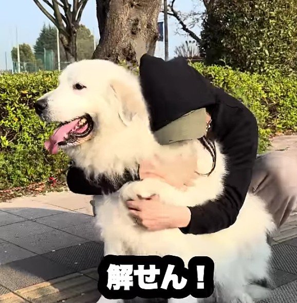 そんなところも可愛い！