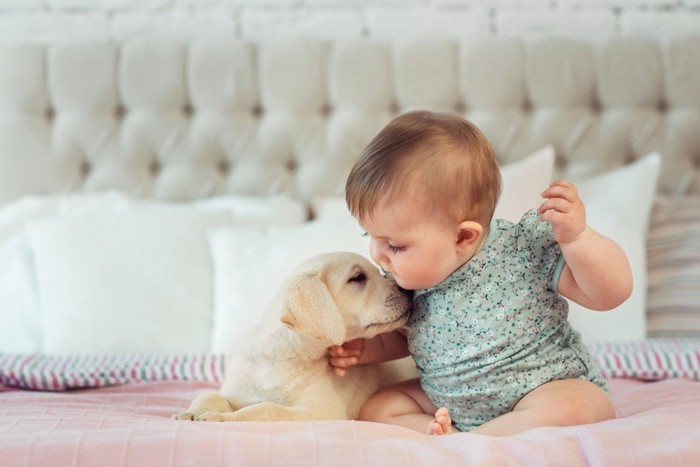 赤ちゃんと犬