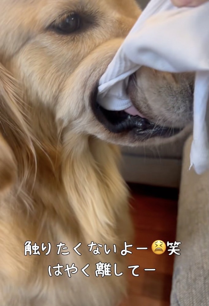 「離さない」という強い意志