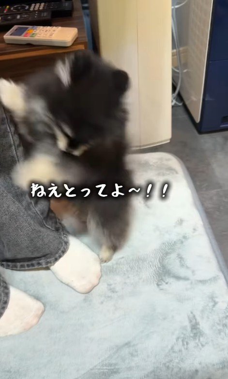 「代わりに取って~」