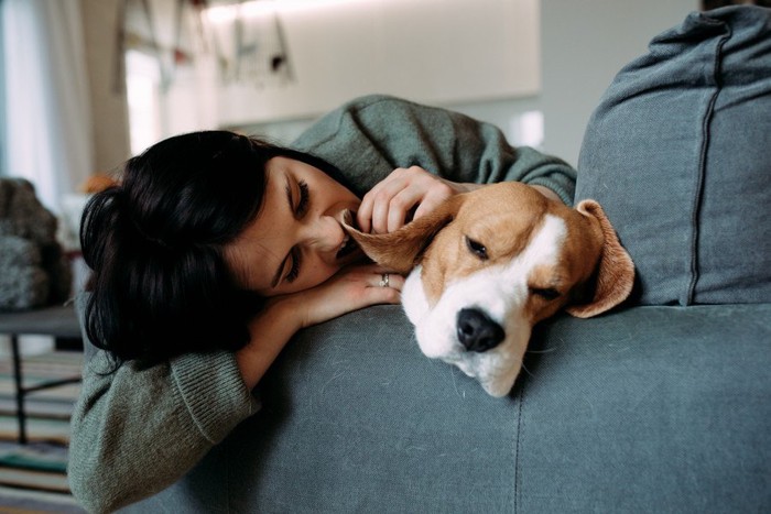 拗ねる犬と慰める人