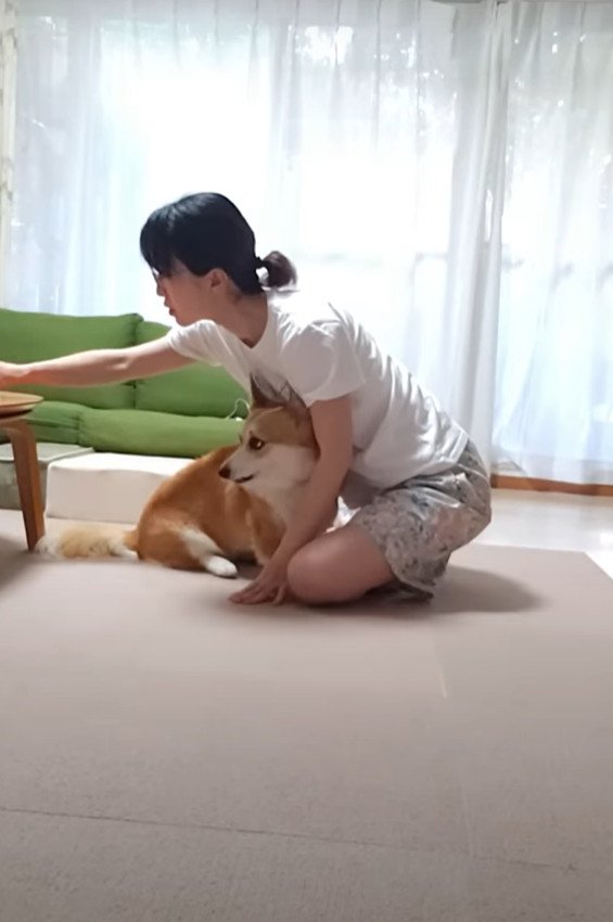 飼い主さんの準備を待つフライちゃん