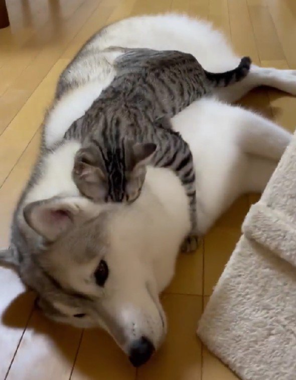 「会いたかった!」