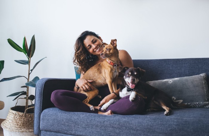 ソファに座る女性と犬たち