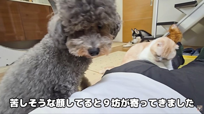 心配そう…！
