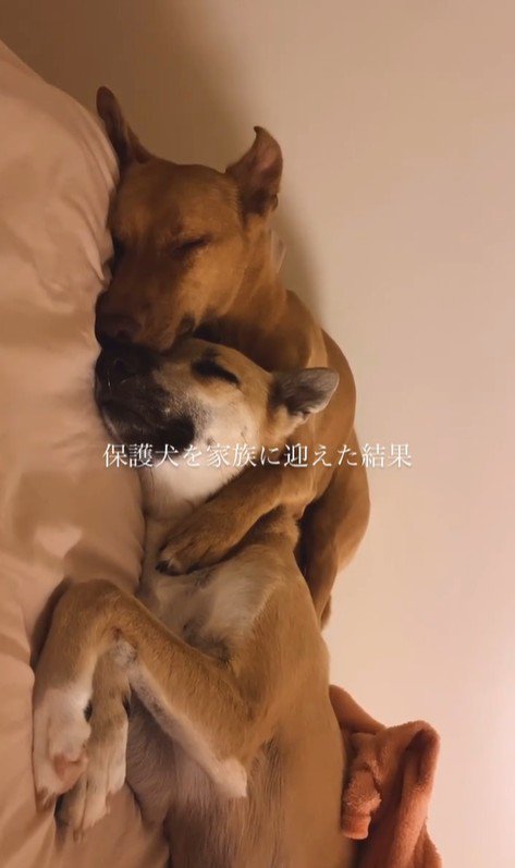 JayくんとJohnnyくん