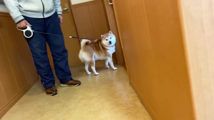 ちょっぴり緊張