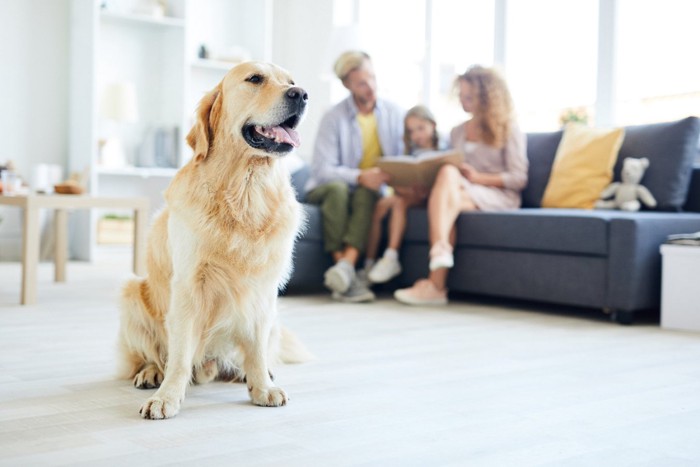 ソファに座る飼い主さん一家とオスワリする犬