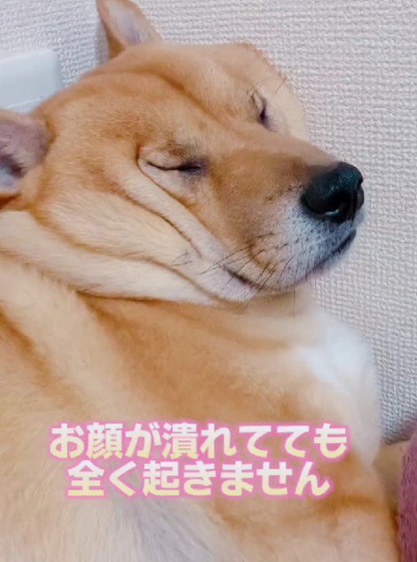 なんともユニークな姿に…♡