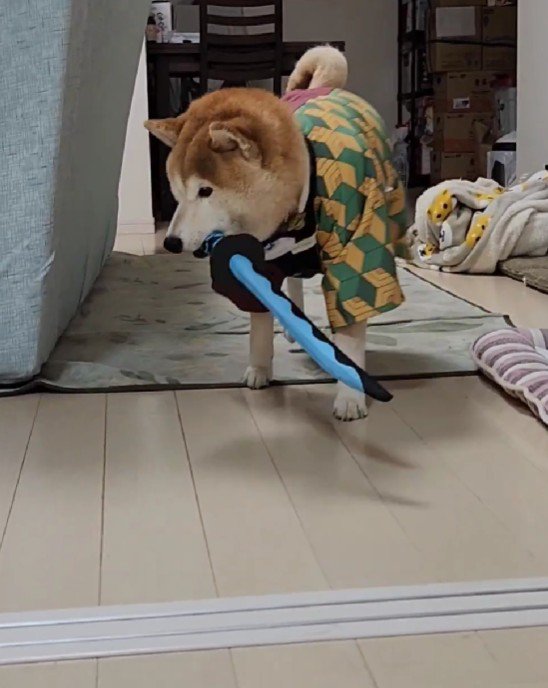 まるで小さな武士