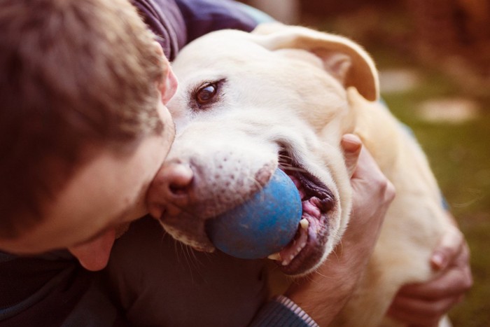 ボールで遊ぶ犬と男性