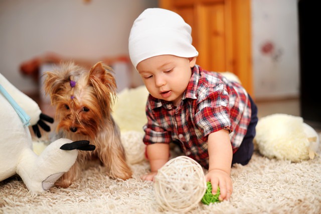 遊んでいる赤ちゃんと犬