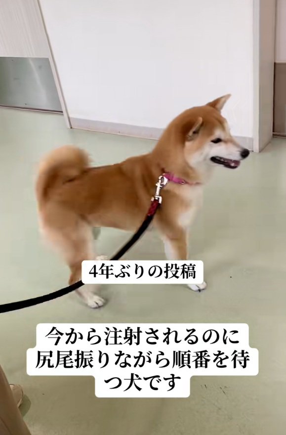勘違いするみなみちゃん