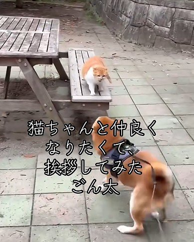 怒られちゃった！！
