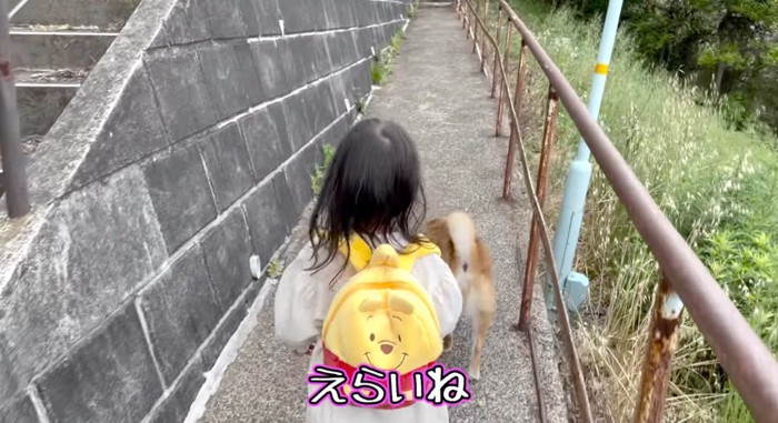 犬に「えらいね」と語りかける女の子