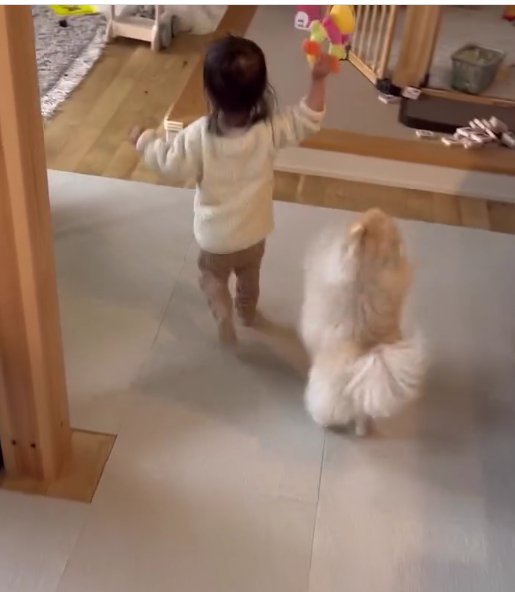 おもちゃを持っている子供の後ろに犬