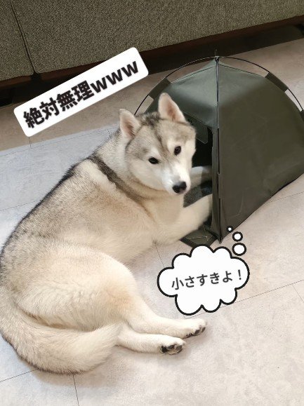 小さすぎた…
