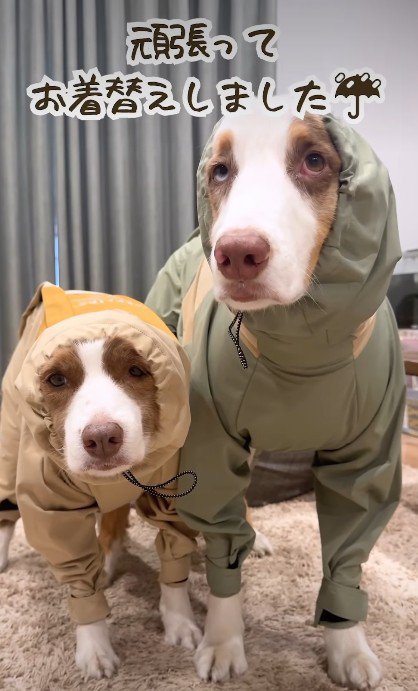 なんとか着用！！