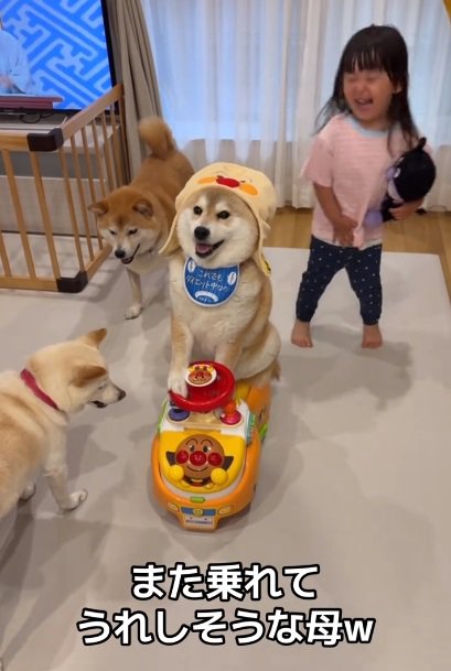 アンパンマンカーに乗るポポちゃん