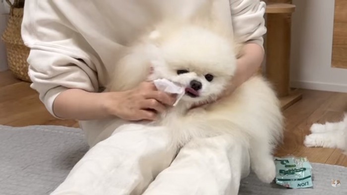 歯磨きするポテチくん