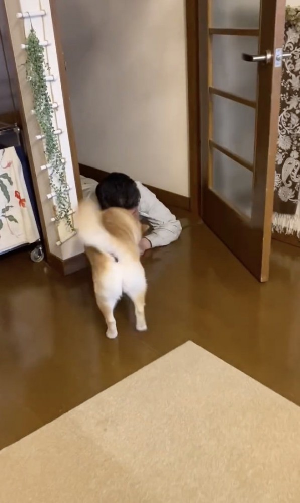 「会いたかったぁ」