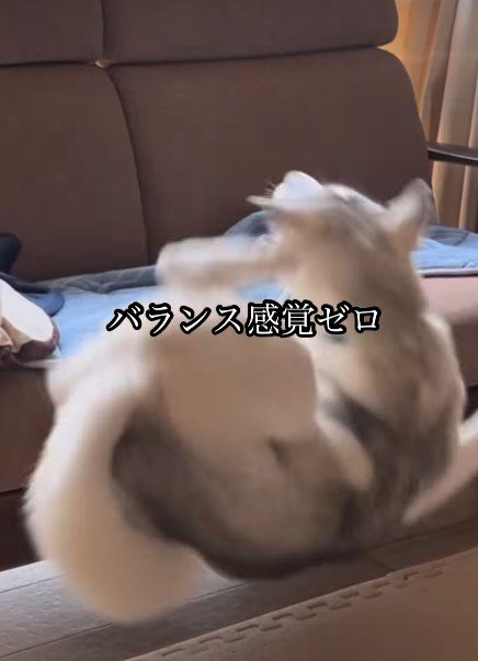 やっぱり落下!!
