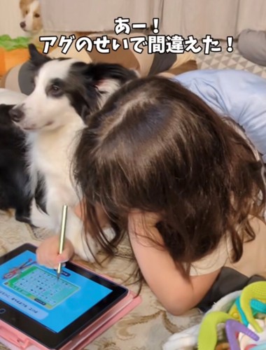 タブレットを使う女の子と寄り添う犬5（あー！アグのせいで間違えた！）