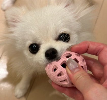 おもちゃ