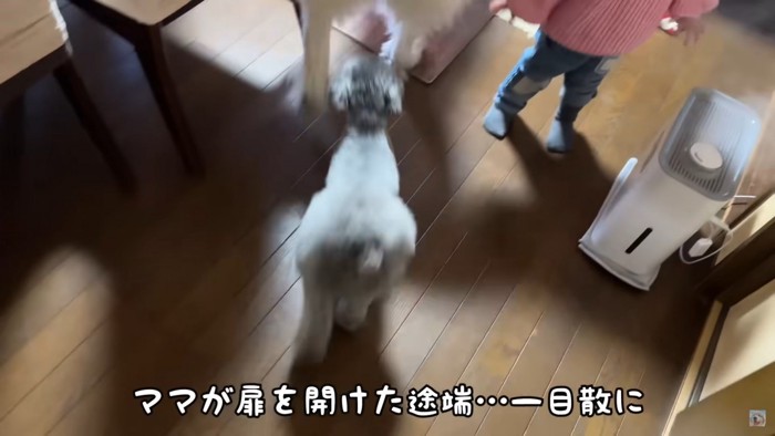 パニック状態で入室！