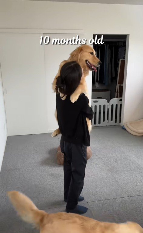 ちあちゃん&ひまわりちゃんの成長4