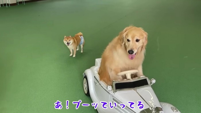 「ほのちゃんが～！」