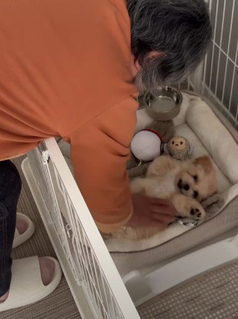 反対したのは母の愛