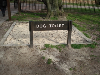 dog toilet