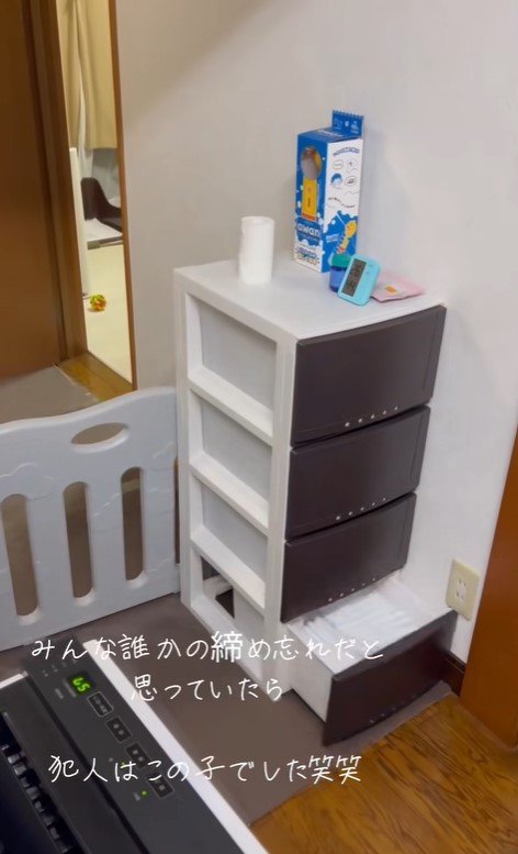 収納棚を開けて脱走するぽぽちゃん4