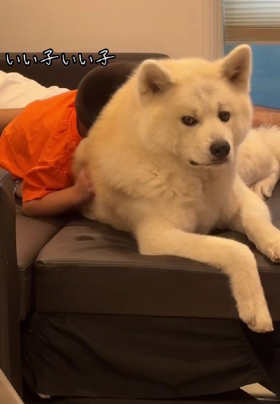 思わずホッコリ