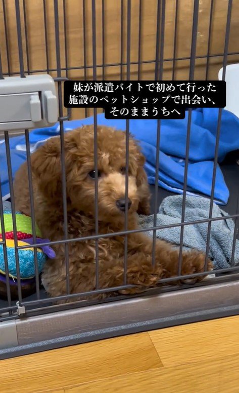 アルくんとの出会い3