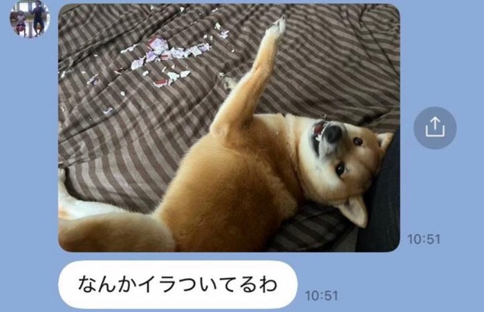 イタズラしたふうたくん