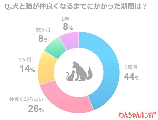 犬と猫の同居に関するアンケート調査