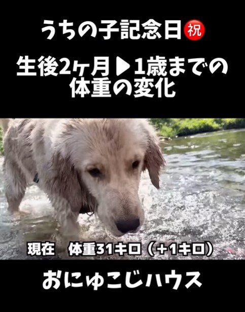 麹くんの成長⑩