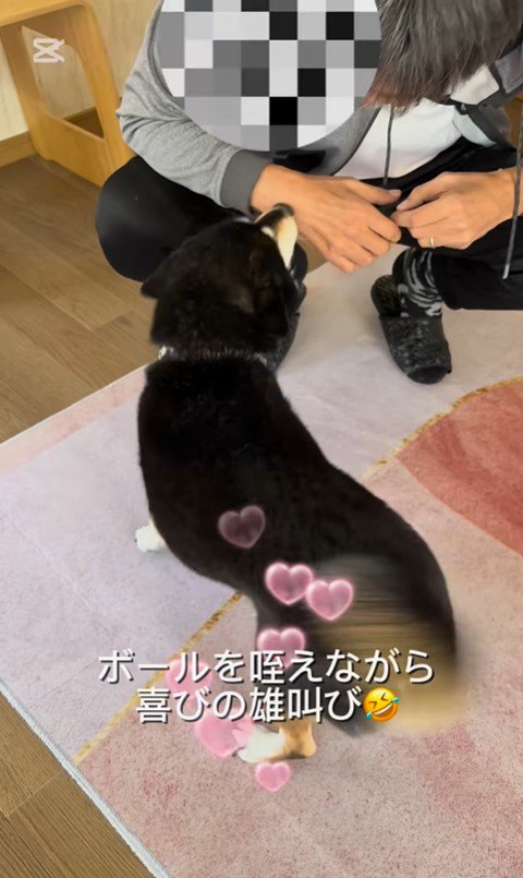 あずきちゃんとお父さんの再会5