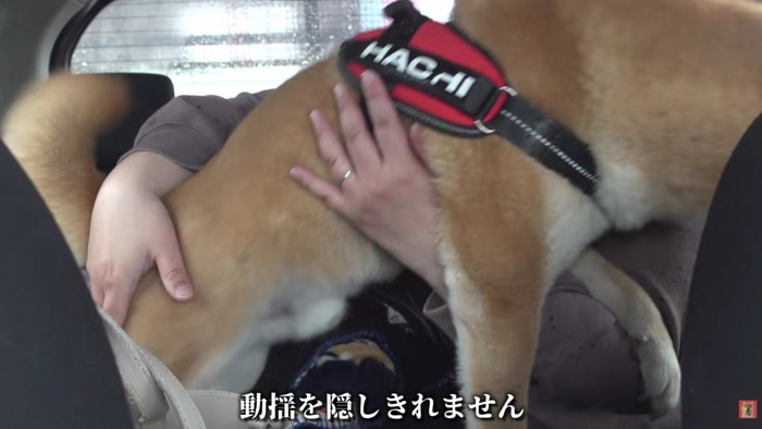 パパに抱きついてイヤイヤ