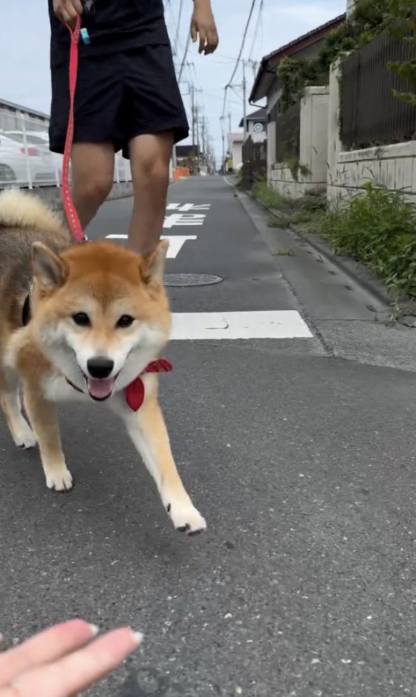 手をサッ
